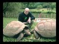 Passeio Animal - Jabuti Gigante