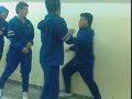Click here to watch this video Vídeo0055