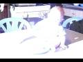 videos de zina cake.avi