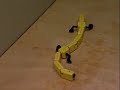 Salamandra Robotica