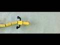 Salamandra Robotica