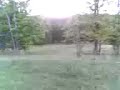 robie jumpin at camp