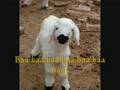 Baa Baa Black Sheep
