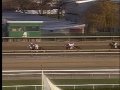 Kodiak Kowboy - 2009 Cigar Mile (G1)