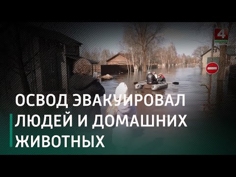 Видео. Вода добралась до окон. Ночью под Гомелем в районе дач прорвало дамбу видео