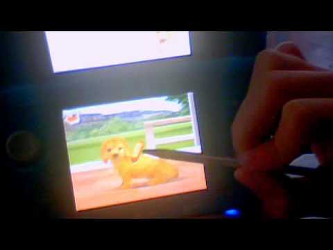 how to get more owner points on nintendogs 3ds