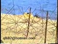 اثار الغزو العراقي في منتزه الضباعية في دولة الكويت - تصوير خاص