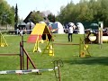 Agility Theresa und Xenia A3 Maxi 04.05.208 OG Scharnh.-W.