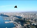 ناسيني - عبدالله الرويشد 2010