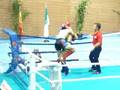 videos de equipo naja 9