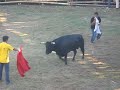 Torero provisional