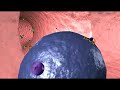 Cancer Metastasis: CXCR4 Cancer Metastasis: CXCR4