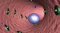 Cancer Metastasis: CXCR4
