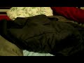 Chihuahua Bedtime