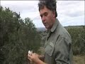 Shamwari A Wild Life Episode 10 Preview: A lion jumps out Shamwari A Wild Life Episode 10 Preview: A lion jumps out