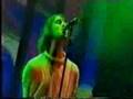 I Am The Walrus (Oasis Live at Knebworth 96)