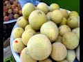 Buah-buahan di Mesir