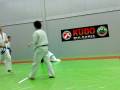 gosho vs mirko.mp4