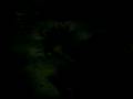 videos de 100 0665