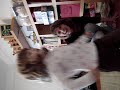 Sam Hop Hop Hippity