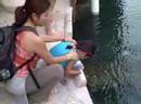 Recorded on December 30, 2007. Xcarel, near Cancun Mexico
