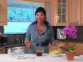 VegNews + Ani Phyo Raw Chocolate 10.08 VegNews + Ani Phyo Raw Chocolate 10.08