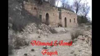 11 صوبا 11 صوبا