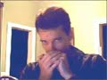 The Rose on harmonica