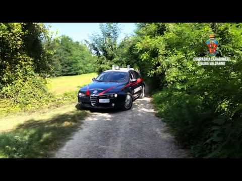 Video degli spari al poligono di tiro abusivo