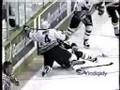 J. More hits on Fleury 94-95 playoffs