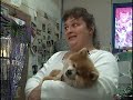 Wareham Animal Shelter Robbed