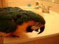 videos de Bathroom Talk