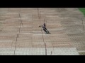 videos de Celtic Cup 2 - Rossendale (pm) - MSC Racers