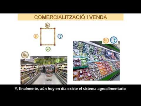 youtube-img