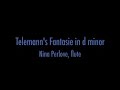nina perlove plays telemann fantasy in d minor