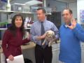 Compounding For Your Pets - Jersey Shore Pharmacy