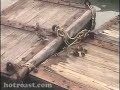 http://hotroast.com - nine adorable lil' city ducklings and their mom at the west 79th street boat basin at riverside park on manhattan's upper westside.

high-res version: http://www.vlogolution.com/vlog/hotroast/20080428.html#extended

music:  