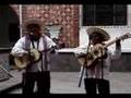 Tsasna - La Peineta - Michoacan Son