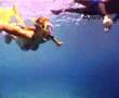 Girl underwater