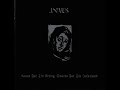 Animus - Untitled 1 ..