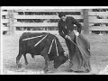 4. Caballo Viejo (de Simón Díaz)