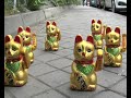 Gatos de Mixta jugando al escondite inglés