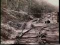 videos de The Royal Forest of Dean