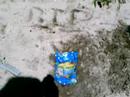 the search for animal crackers
