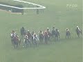 2010年 第45回京都牝馬ステークス（GIII） ヒカルアマランサス