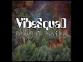 VibeSquaD -