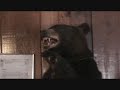 I liked a @YouTube video http://t.co/vn9XP5EB Garnet Hill Lodge