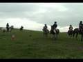 Tarporley Rotary Horse Ride