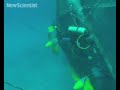 Mobile fish farms could soon navigate the oceans