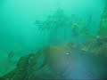 Prince Egersund under water